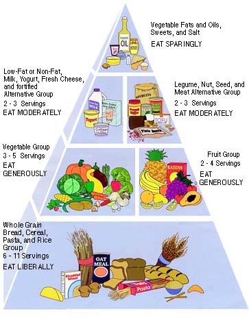 Diabetul zaharat al copilului